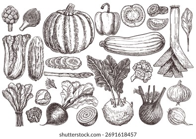 Conjunto de varias verduras dibujadas a mano. Bocetos de diferentes alimentos. Comida orgánica saludable. Croquis icono de verduras. Aislado en blanco