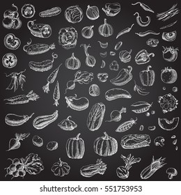 Set of various hand drawn vegetables. Sketches of different food on the chalkboard