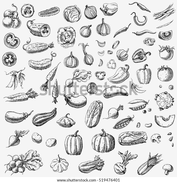 Set of various hand drawn vegetables.\
Sketches of different food. Isolated on\
white