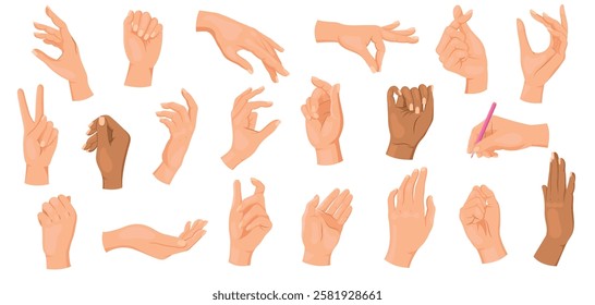 Set of various hand gestures and positions in a flat style. Vector illustration