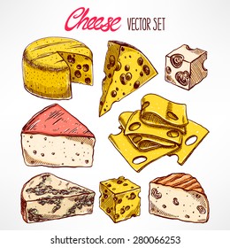 Set with various hand-drawn cheeses. hand-drawn illustration