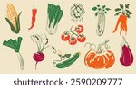 A set of various hand-drawn vegetables. Corn, chili pepper, Peking cabbage, artichoke, celery, carrot, eggplant, pumpkin, tomato, cucumber, beetroot, leek. Vector illustration