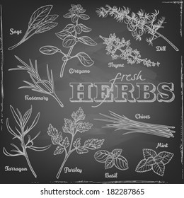 Set of various herbs  with rosemary, sage, dill, chives, mint, basil, tarragon, parsley, thyme and oregano with typography on a blackboard.