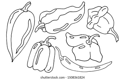 Set of various hot multicolored peppers. Vector outline illustration.
