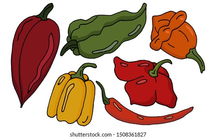 Set of various hot multicolored peppers. Vector illustration.