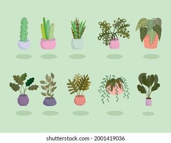 set various houseplant decoration icons