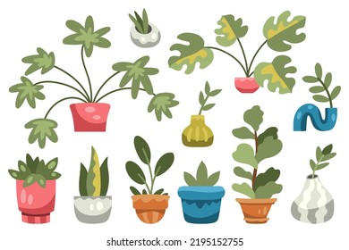 Set of various housplants in pots and vases. Monstera, ficus lyrata and other trendy plants. Flat cartoon hand-drawn style, isolated on white background