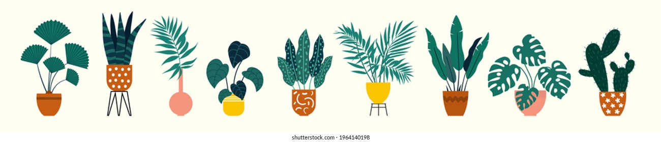 Set of various indoor plants, banner with indoor and tropical plants in pots and vases, interior design, landscaping at home