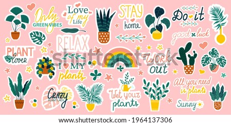 Set of various indoor plants and trend labels, stickers for diary or calendar, Signs, symbols, items for planner or organizer, cute, cool stickers.