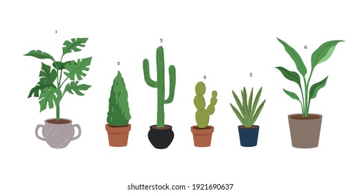 多肉植物 のイラスト素材 画像 ベクター画像 Shutterstock
