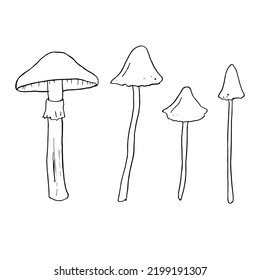 Set of various inedible mushrooms, pale toadstools. Linear sketches, stylized vector graphics.