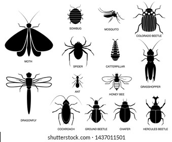 set of various insect in silhouette, with insect name. easy to modify