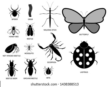 set of various insect in silhouette, with insect name. easy to modify