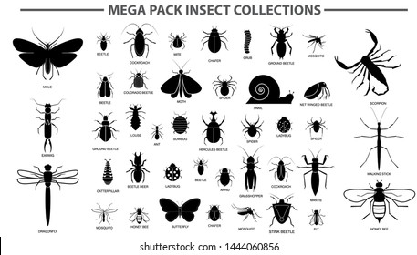 set of various insect in silhouette, with insect name. eps 10 vector