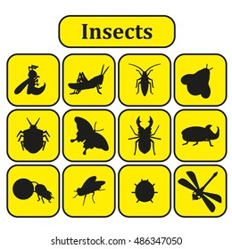 Set of various insects