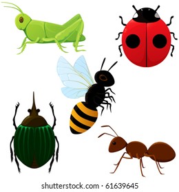 A set of various insects.