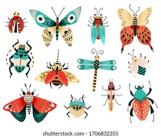 Set of various insects with beetles, moths and butterflies, dragonfly. Collection of exotic beetles. Spring and summer insects icons in hand drawn style.