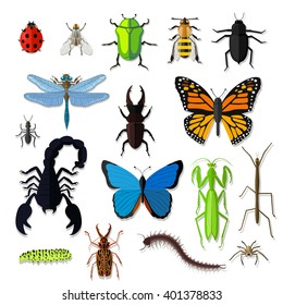 Set of various insects design flat. Bug and butterfly, ant and bee, spider and fly, ladybug and dragonfly, grasshopper wildlife, creature cockroach isolated on white background. Vector illustration