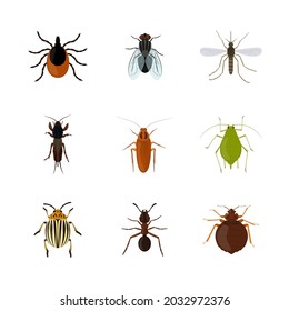 Set of various insects isolated on white background