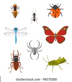 Set of various insects such as ant, butterfly, beetle, dragonfly, spider, bee, ladybug and grasshopper