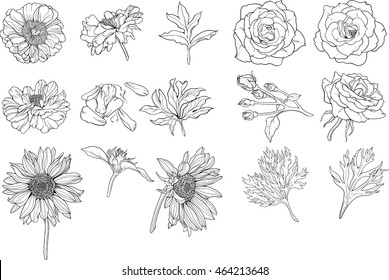 Set of various isolated flower. Coloring page.