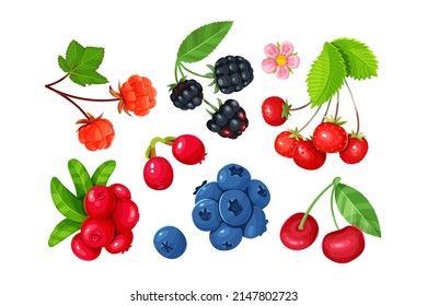 A set of various juicy berries isolated on a white background. Cherries, blackberries, blueberries, strawberries, cloudberry and lingonberries.