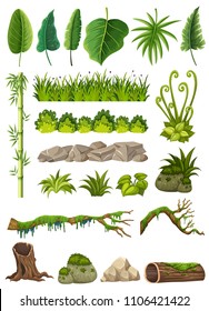 Set of various jungle objects illustration