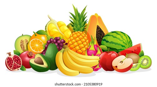 Set of various kinds of fruit illustrations