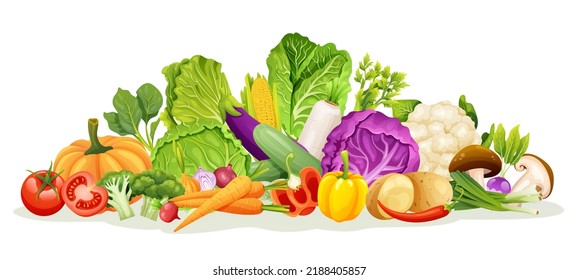 Set of various kinds of vegetable illustrations