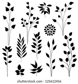 Set of various leaf design elements. Vector illustration.