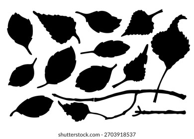 Set of various leaf silhouettes. Black outline of autumn leaves on a white background. Vector illustration.