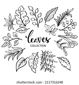 Conjunto de ilustraciones del doodle de varias hojas