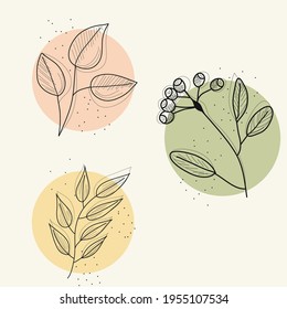 Conjunto de varias hojas y flores, formas abstractas. Elementos redondos, formas abstractas, líneas, florales. Gráficos de material vectorial.
