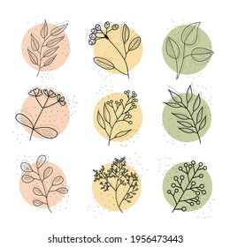 Set of Various Leaves and Flowers, abstract shapes. Line art. Round elements. Line art. Contemporary Hand drawn vector illustrations EPS10.