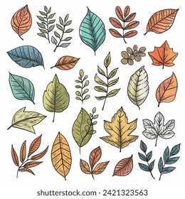 Set Various of Leaves Nature Collection Vector