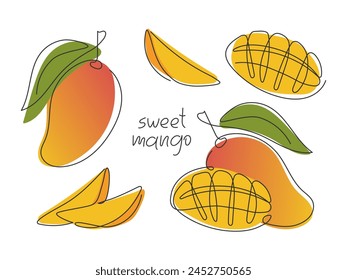 Set of various mango isolated on white. Whole and sliced tropical fruit. Abstract continuous line exotic food. Element for design. Fresh sweet natural dessert