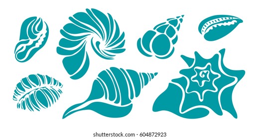Set of various mollusk sea shells, sketch style vector illustration isolated on white background. Oyster, spiral, clam and mollusk shells. Marine collection. Underwater world. Silhouette shapes