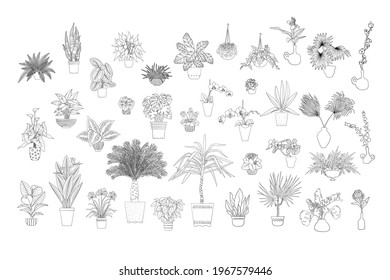 Set of various monochrome tropical house plants in planters. Black line art. Stock vector illustration.