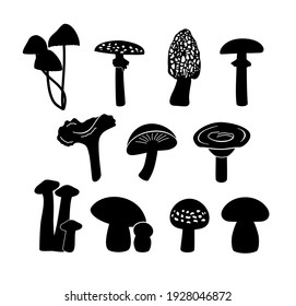 Set of various mushrooms. Mushroom silhouette. Vector illustration.