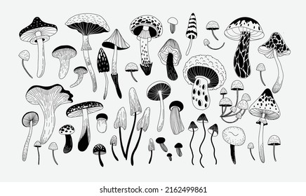 Set of various mystical mushrooms. Hippie magic boho wall art background. Psychedelic vector illustration. Magic and boho texture. Hand drawn style