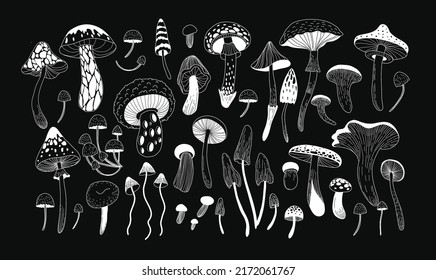 Set of various mystical mushrooms. Hippie magic boho wall art background. Psychedelic vector illustration. Magic and boho texture. Hand drawn style