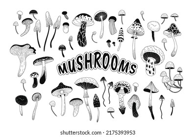 Set of various mystical mushrooms. Hippie magic boho wall art background. Psychedelic vector illustration. Magic and boho texture. Hand drawn style graphic set