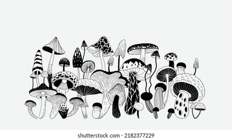 Set of various mystical mushrooms. Hippie magic boho wall art background. Psychedelic vector illustration. Magic and boho texture. Hand drawn style graphic set