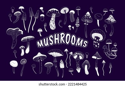 Set of various mystical mushrooms. Hippie magic boho wall art background. Psychedelic vector illustration. Magic and boho texture. Hand drawn style graphic set