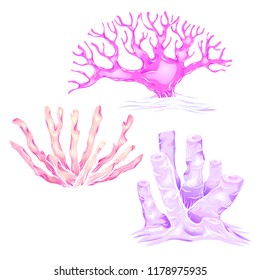 Set of various neon cartoon corals. The object is separate from the background. Illustration for printing on T-shirts, covers, stickers and your design.
