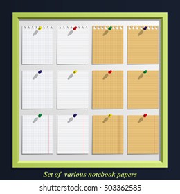 Set of various notebook papers with lines and grids attached with thumbtacks.