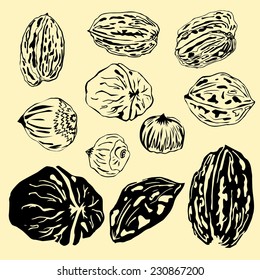 Set with various nuts, monochrome, walnuts and hazelnuts