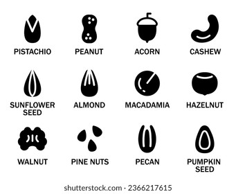 Set of various nuts and seeds. Set of nuts with their names. Concept of healthy eating, proper diet, vegetarian. Almonds, Walnuts, Cashews, Macadamia, Peanuts. Vector illustration in monochrome style