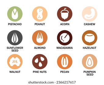 Set of various nuts and seeds with their names. Nuts, seeds, grains and legumes icon set. Flat style icons. Plant based diet ingredients. Vector illustration in colorful style