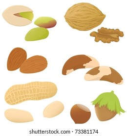 A set of various nuts with and without shells.